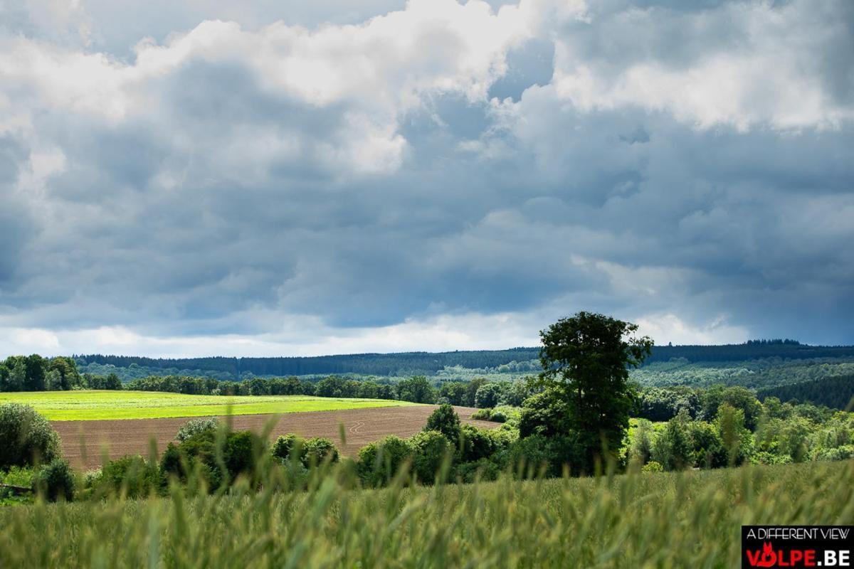 B&B Le Secret Du Bois Bourseigne-Vieille Exteriör bild